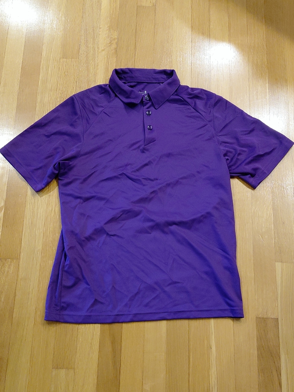 Nike Men's Purple Performance Polo Small